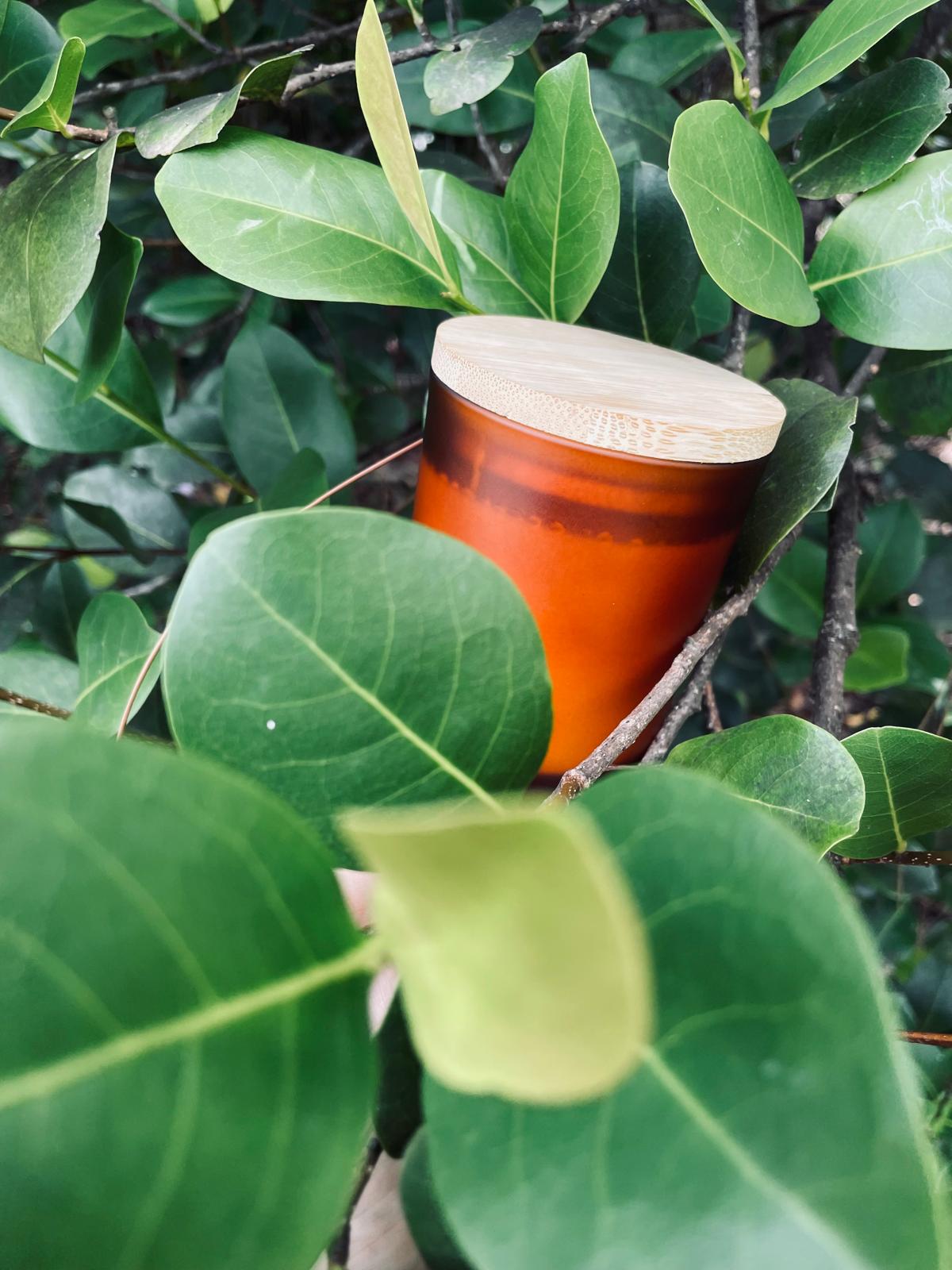 Amber and Sandalwood